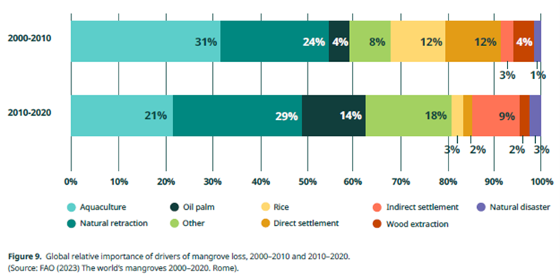 Mangroves trends over time