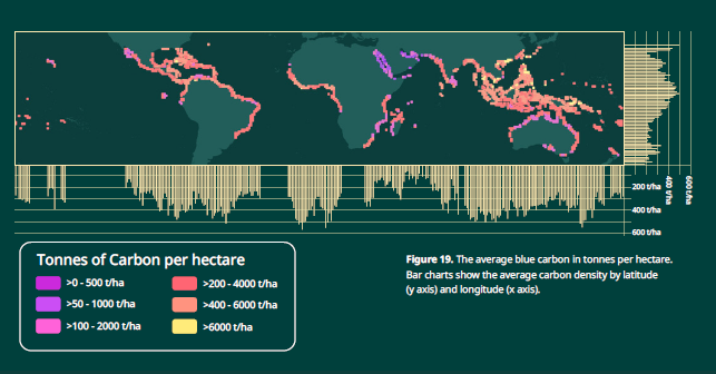 Carbon storage