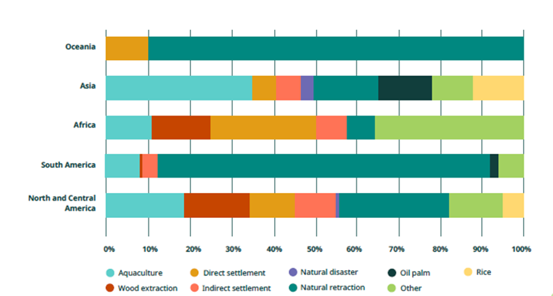 Mangroves regional variations