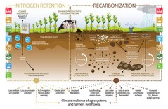 Soil organic carbon (SOC) sequestration